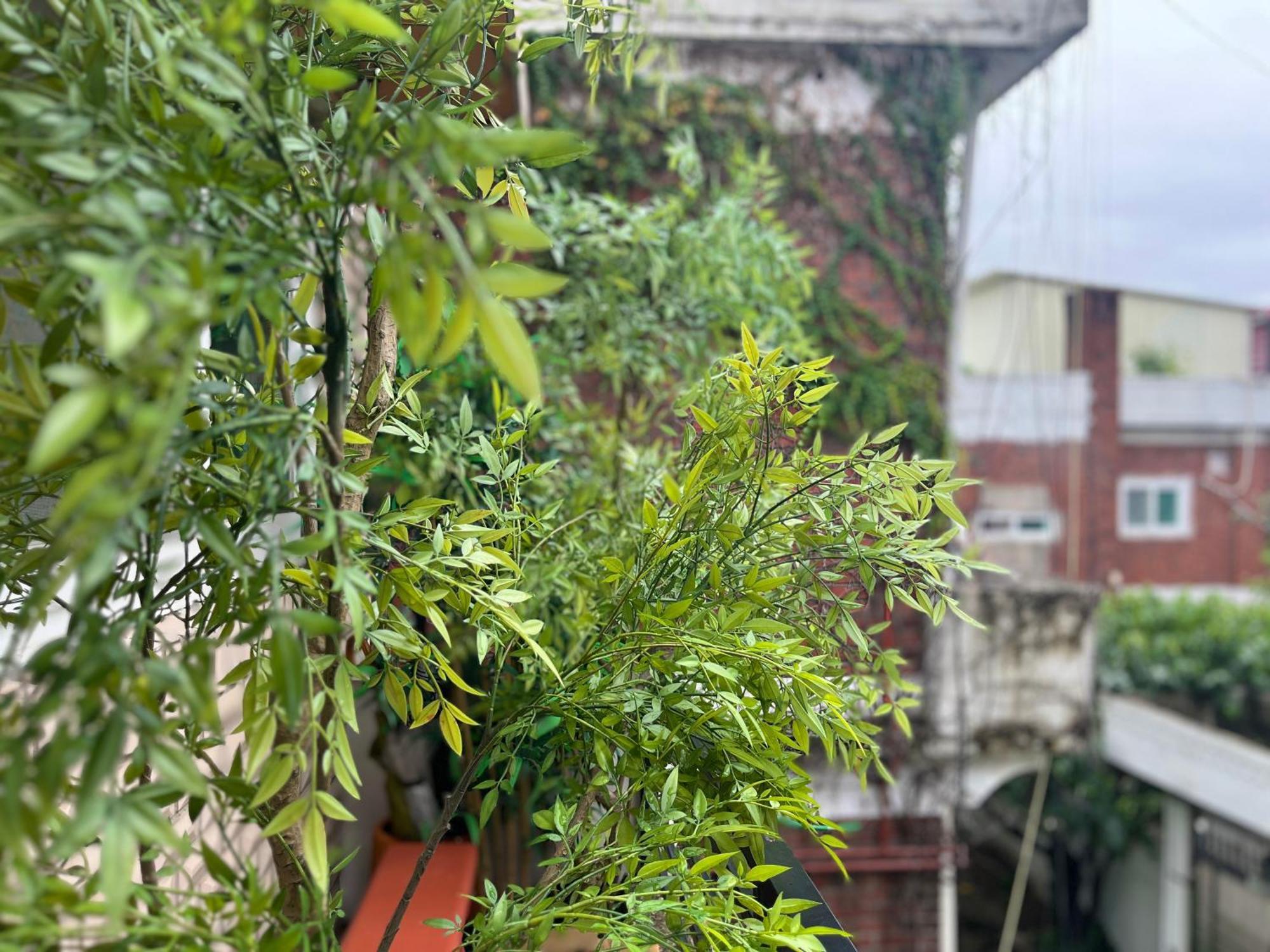 Seoulite Bed & Breakfast Bagian luar foto